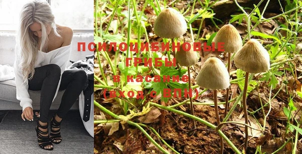 a pvp Новокубанск