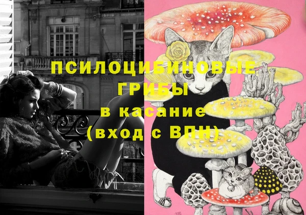 амфетамин Новозыбков