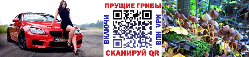 Псилоцибиновые грибы мухоморы Купить где Шахунья